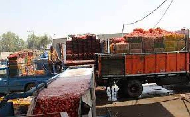 رعایت ضوابط بهداشتی، اولویت اصلی کارخانه‌های تولید رب گوجه فرنگی